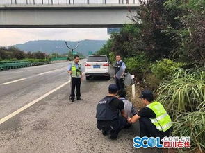 好危險 巴達(dá)高速上一小車瘋狂逆行被截停