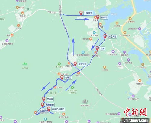 西湖景區開通 龍井茶 專線 方便市民游客觀光飲茶