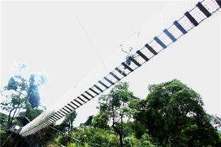 國慶黃金周到佛山南丹山聽鳥語 覓鼠蹤,度一個動物園假期