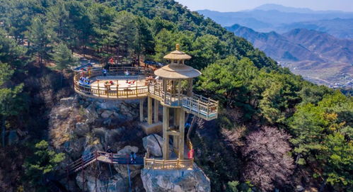 5.19中國旅游日,濟南又一大波優惠來襲