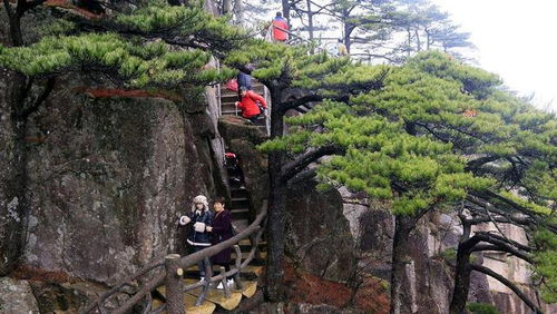 窮人越來(lái)越窮,富人越來(lái)越富,盤點(diǎn)富人不希望窮人明白的秘密