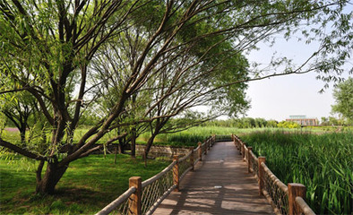 奧林匹克森林公園游覽景區(qū)管理探析