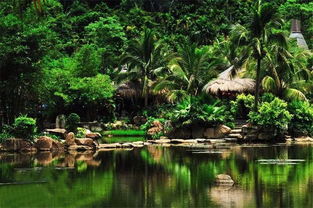 在溫暖保亭遇見那香山，探索大三亞旅游經濟圈的景區管理之道