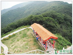 徒步游覽西鼎景區(qū) 東西區(qū)美景與園區(qū)管理服務(wù)體驗